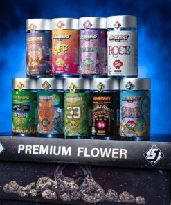 SLUGGERS HIT PREMIUM FLOWER